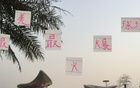 大連戰(zhàn)申花，門(mén)票半小時(shí)售完，馬萊萊VS米內(nèi)羅精彩PK。