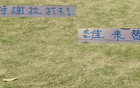 申花特謝拉缺席，國家隊無礙，反傷家中兩人。