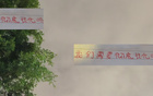 萊納多進50球，歸化刻不容緩，否則恐敗馬來西亞。