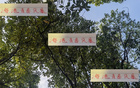 海港青春風(fēng)暴，李新翔領(lǐng)銜，大連賽進球助攻顯身手！