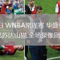 07月04日 WNBA常規(guī)賽 華盛頓神秘人vs明尼蘇達山貓 全場錄像回放