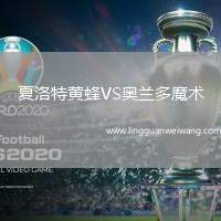 夏洛特黃蜂VS奧蘭多魔術