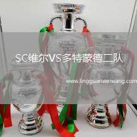 SC維爾VS多特蒙德二隊(duì)