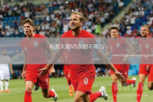 新潟天鵝VS京都不死鳥