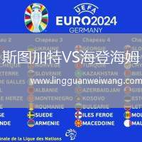 斯圖加特VS海登海姆