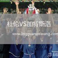 杜倫VS加特斯洛