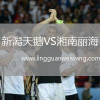 新潟天鵝VS湘南麗海