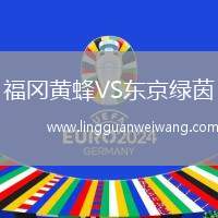 福岡黃蜂VS東京綠茵