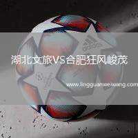 湖北文旅VS合肥狂風(fēng)峻茂